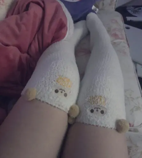 Image 4302325 from inislein