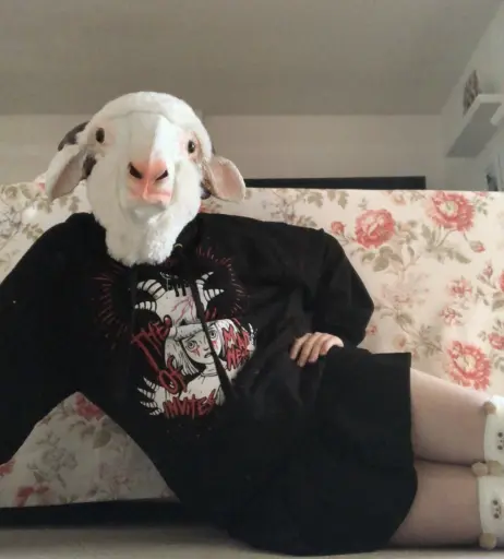 Image 4303405 from inislein