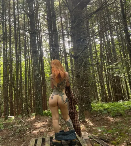 Image 4894285 from Starrybunny/Starryfawnn