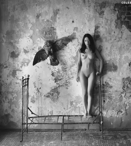 Image 489837 from Wowmowgli