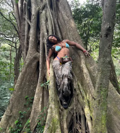 Image 4865441 from SZA | Solana Rowe