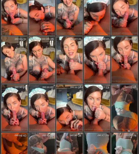 Image 4866397 from Donna Wildcard