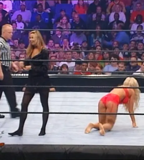 Image 4862213 from WWE Torrie Wilson