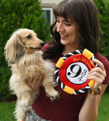 Image 4835597 from Brizzy Voices/Anna Brisbin