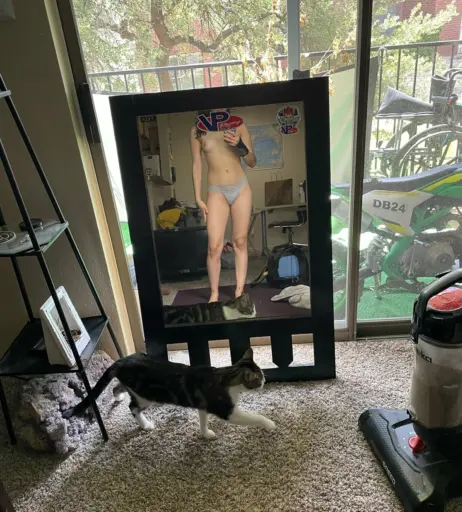 Image 4839940 from alluringliyah | enchantingliyah | ethereaaliyah