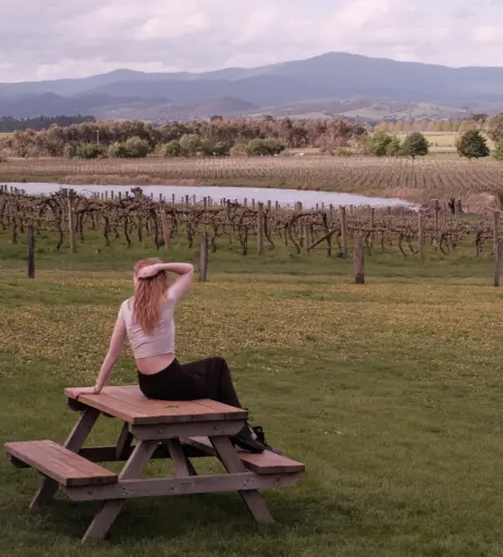 Image 4821213 from Hollie Bennett