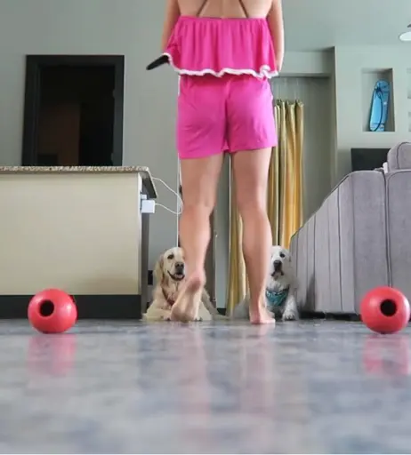 Image 4823708 from Chelsea Kreiner |  Chels Kreiner