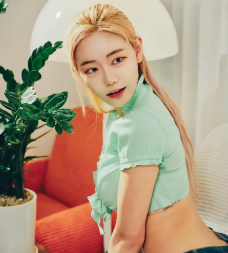 Image 4811666 from Berry -  빛베리