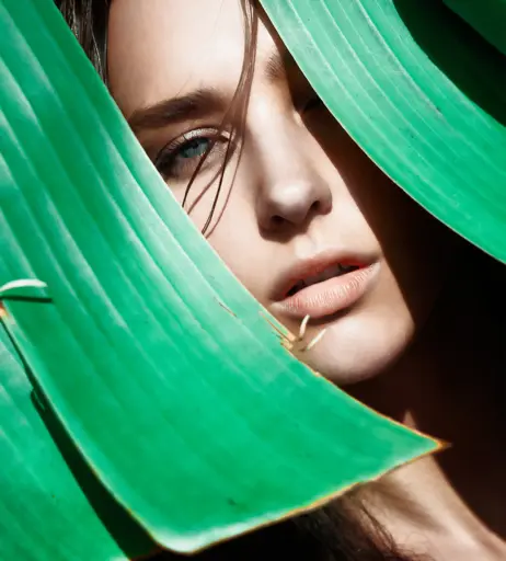 Image 4983801 from Rachel Cook