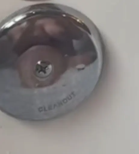 Image 4989840 from Emilee Atchley