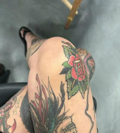 Image 497262 from Vero Venturing