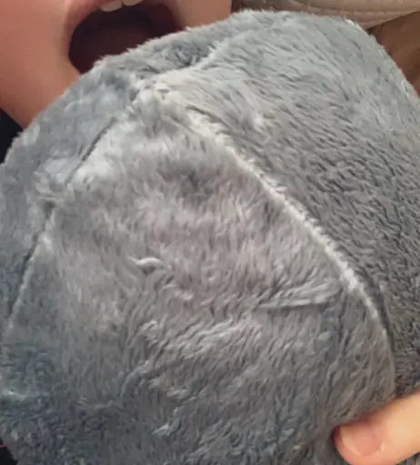 Image 4979988 from inislein