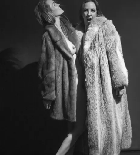 Image 495066 from Stephanie Worth