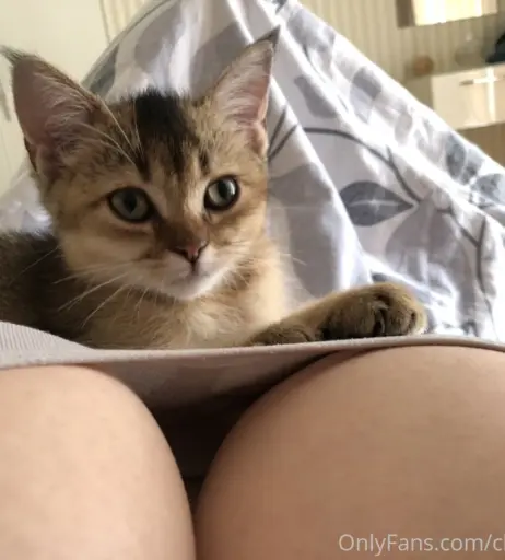 Image 494942 from CheryCheryl6