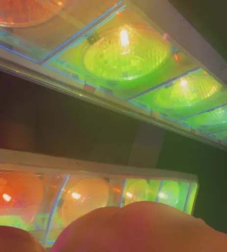 Image 490418 from nickixo_vip