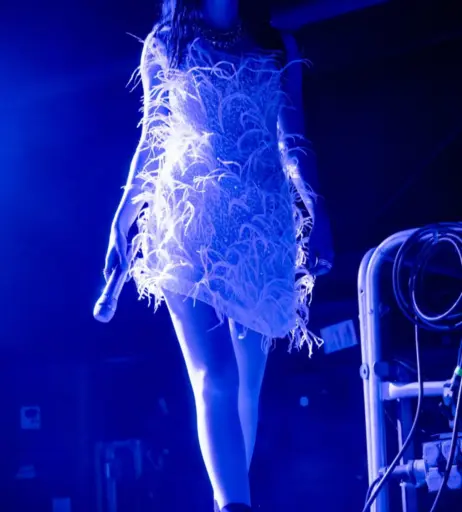 Image 4495523 from Lauren Mayberry (Singer)