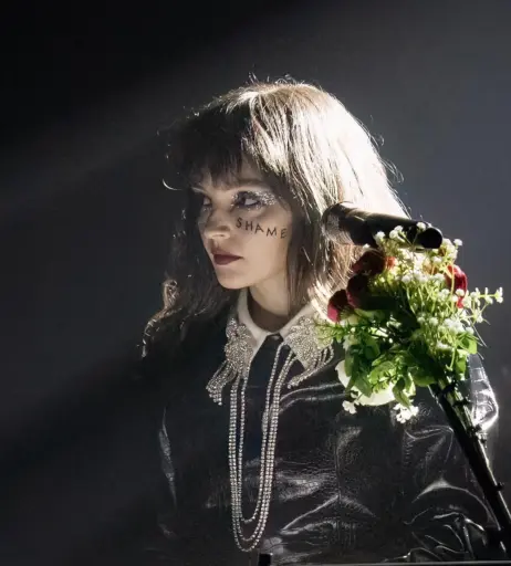 Image 4496082 from Lauren Mayberry (Singer)