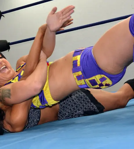 Image 4496031 from Women of Professional Wrestling