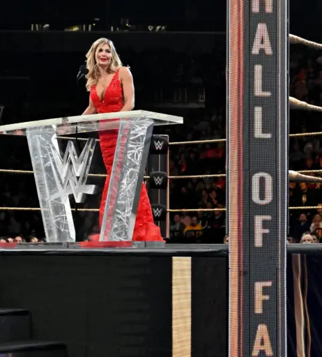 Image 4491548 from WWE Torrie Wilson