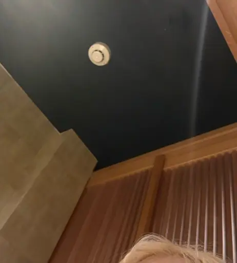Image 4491133 from Rosé || Roseanne Park - BLΛƆKPIИK ( BLACKPINK )