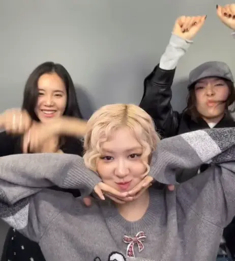 Image 4493108 from Rosé || Roseanne Park - BLΛƆKPIИK ( BLACKPINK )
