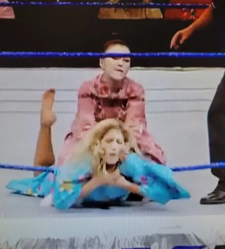 Image 4499857 from WWE Torrie Wilson