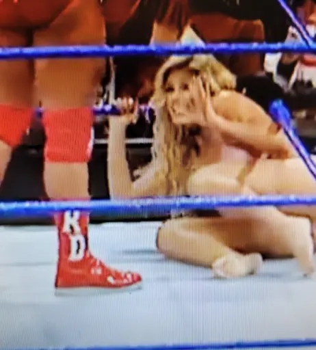 Image 4499641 from WWE Torrie Wilson