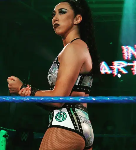 Image 4485828 from Women of Professional Wrestling