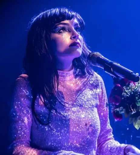 Image 4483541 from Lauren Mayberry (Singer)