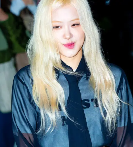 Image 4489113 from Rosé || Roseanne Park - BLΛƆKPIИK ( BLACKPINK )