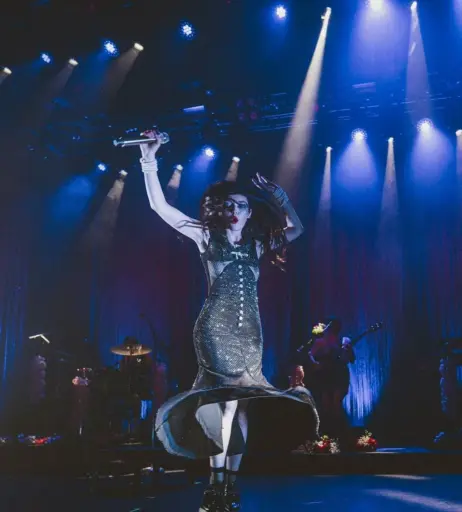 Image 4488584 from Lauren Mayberry (Singer)