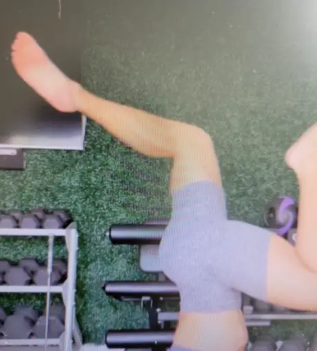 Image 4470531 from WWE Torrie Wilson