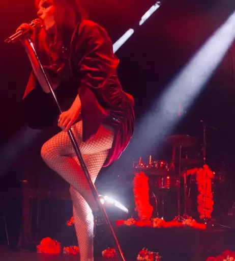 Image 4470472 from Lauren Mayberry (Singer)