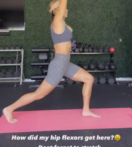 Image 4470305 from WWE Torrie Wilson