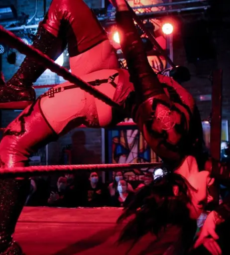 Image 4479190 from Women of Professional Wrestling