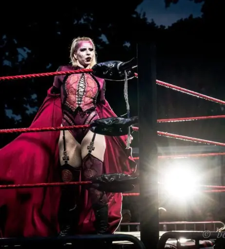 Image 4479014 from Women of Professional Wrestling