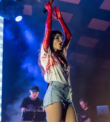 Image 4464373 from Lauren Mayberry (Singer)