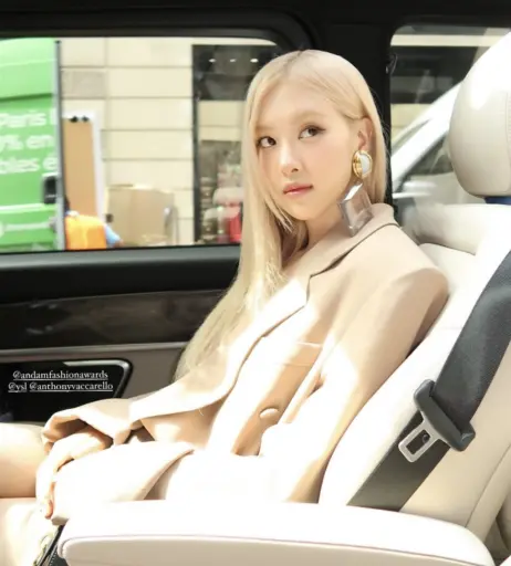 Image 4462447 from Rosé || Roseanne Park - BLΛƆKPIИK ( BLACKPINK )