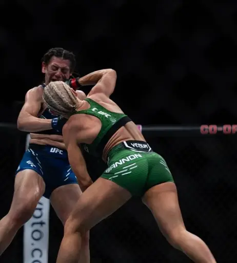 Image 4462185 from Women of UFC &amp; MMA