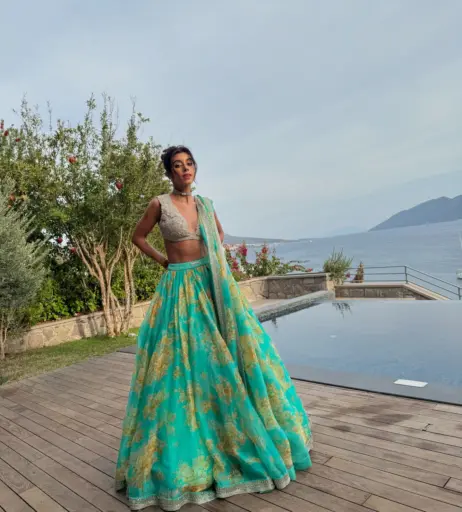 Image 4463104 from Samicamusic