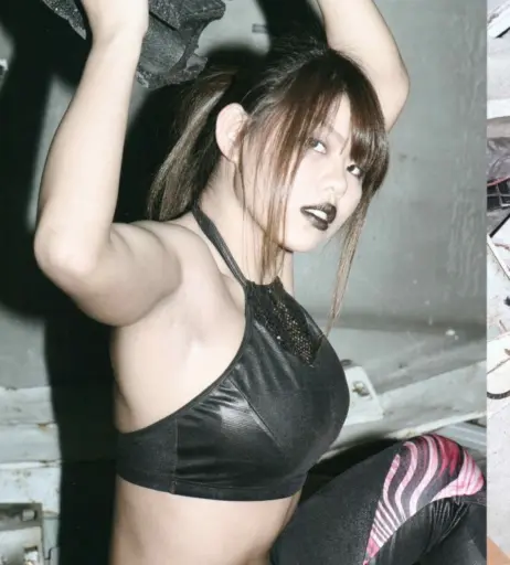 Image 4463038 from Women of Professional Wrestling