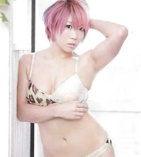Image 4460639 from Women of Professional Wrestling