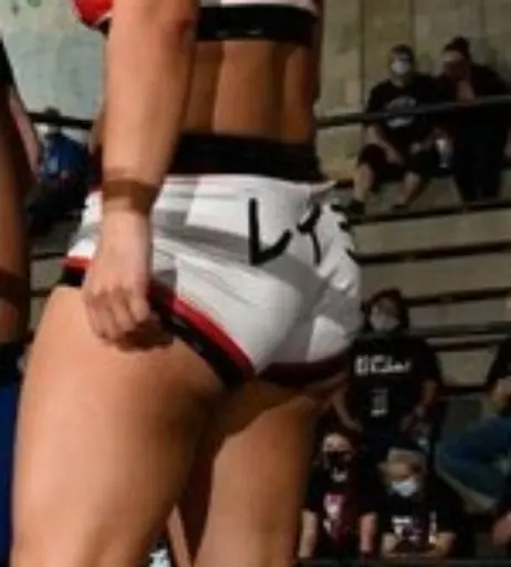Image 4469501 from Women of Professional Wrestling
