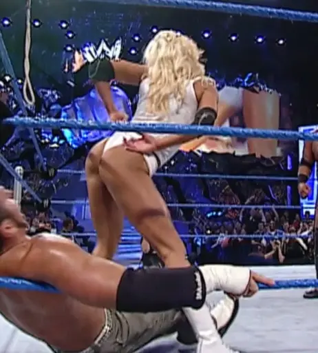 Image 4469147 from WWE Torrie Wilson