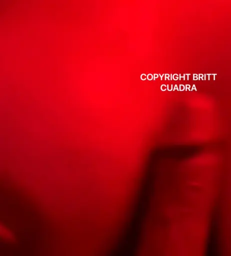 Image 445585 from Brittcuadra