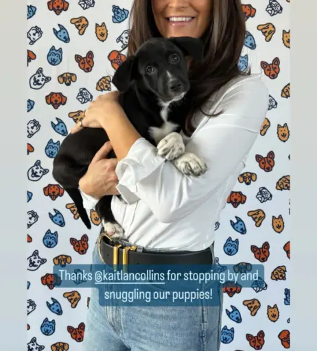 Image 4456807 from Kaitlan Collins - CNN newswoman