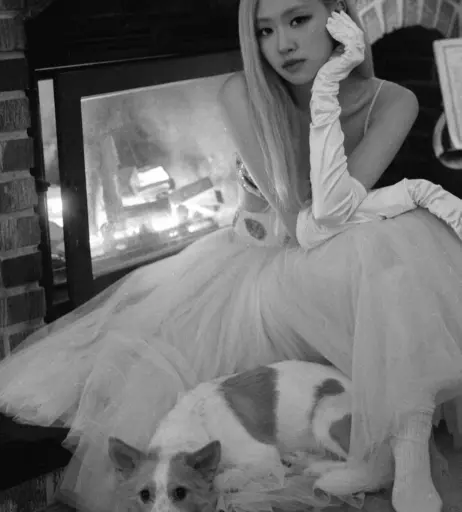 Image 4454302 from Rosé || Roseanne Park - BLΛƆKPIИK ( BLACKPINK )
