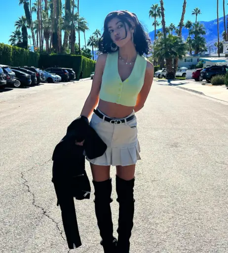 Image 4452635 from Samicamusic