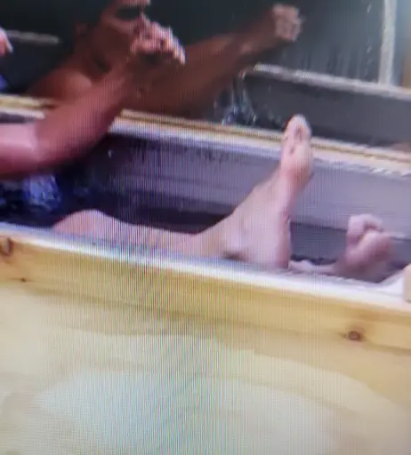 Image 4452286 from WWE Torrie Wilson