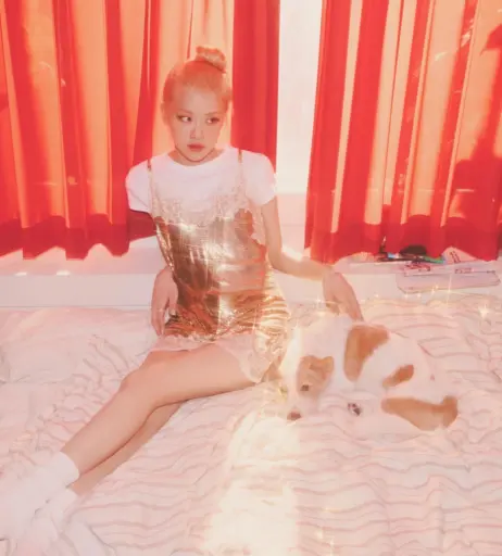 Image 4453988 from Rosé || Roseanne Park - BLΛƆKPIИK ( BLACKPINK )